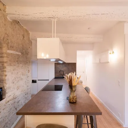 Old Town Renovated 2br Near Beaches & Cours Saleya Apartment Nice
